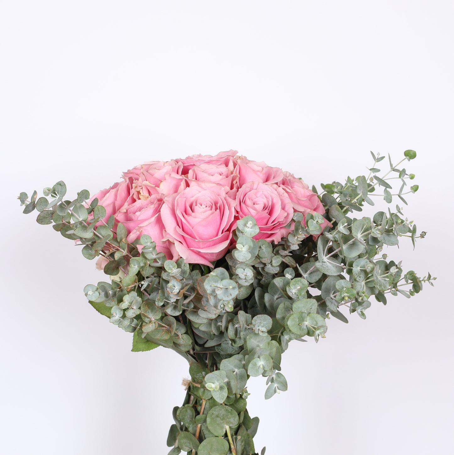 Scented Harmony: Musk, Rosy Blossoms, and Eucalyptus Greens.