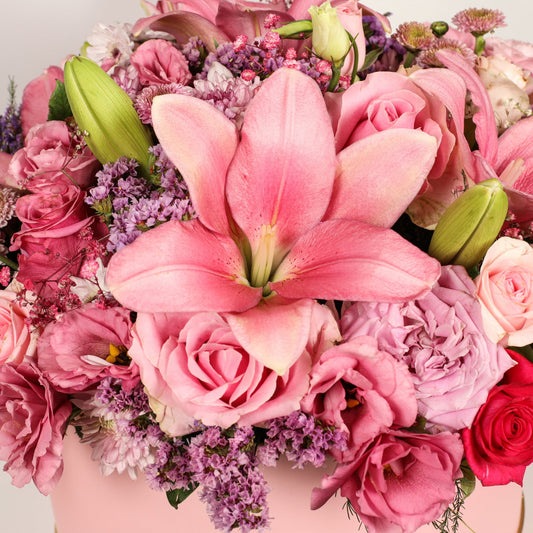 Pink Blossom Harmony.