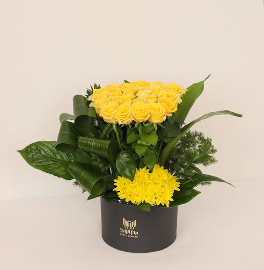 The Radiant Tale of Darkness.