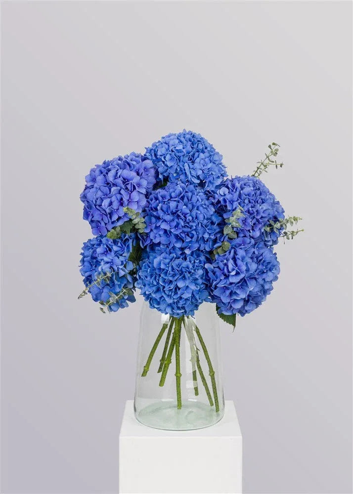 Hydrangea Bliss - elegant fresh flower bouquet