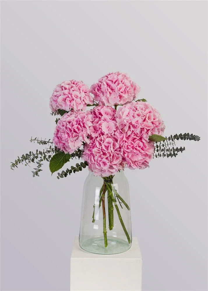 Hydrangea Elegance - elegant fresh flower bouquet