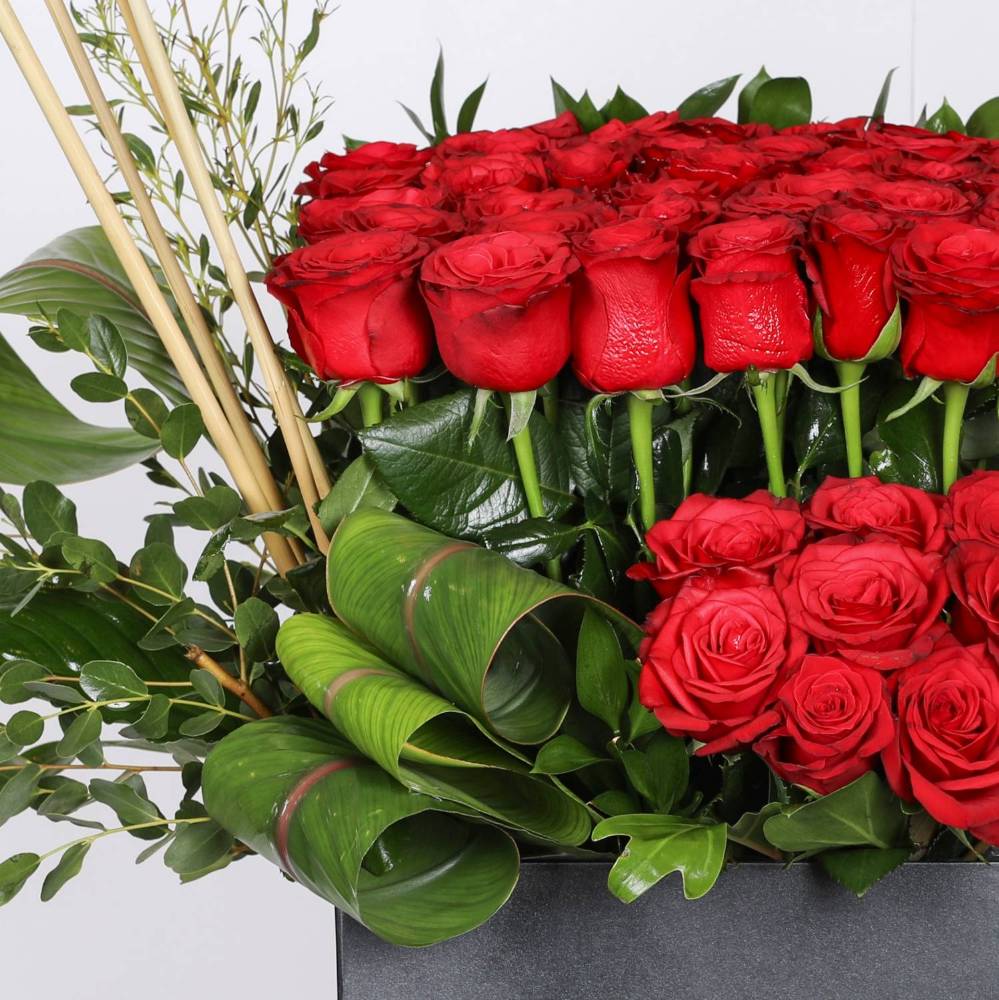 Soulful Passion in the Garden of Red Roses.