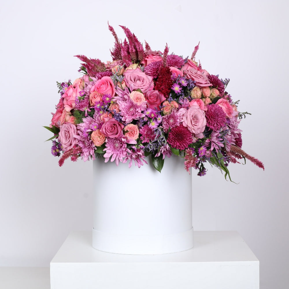 Pink Roses Captivate the Senses.