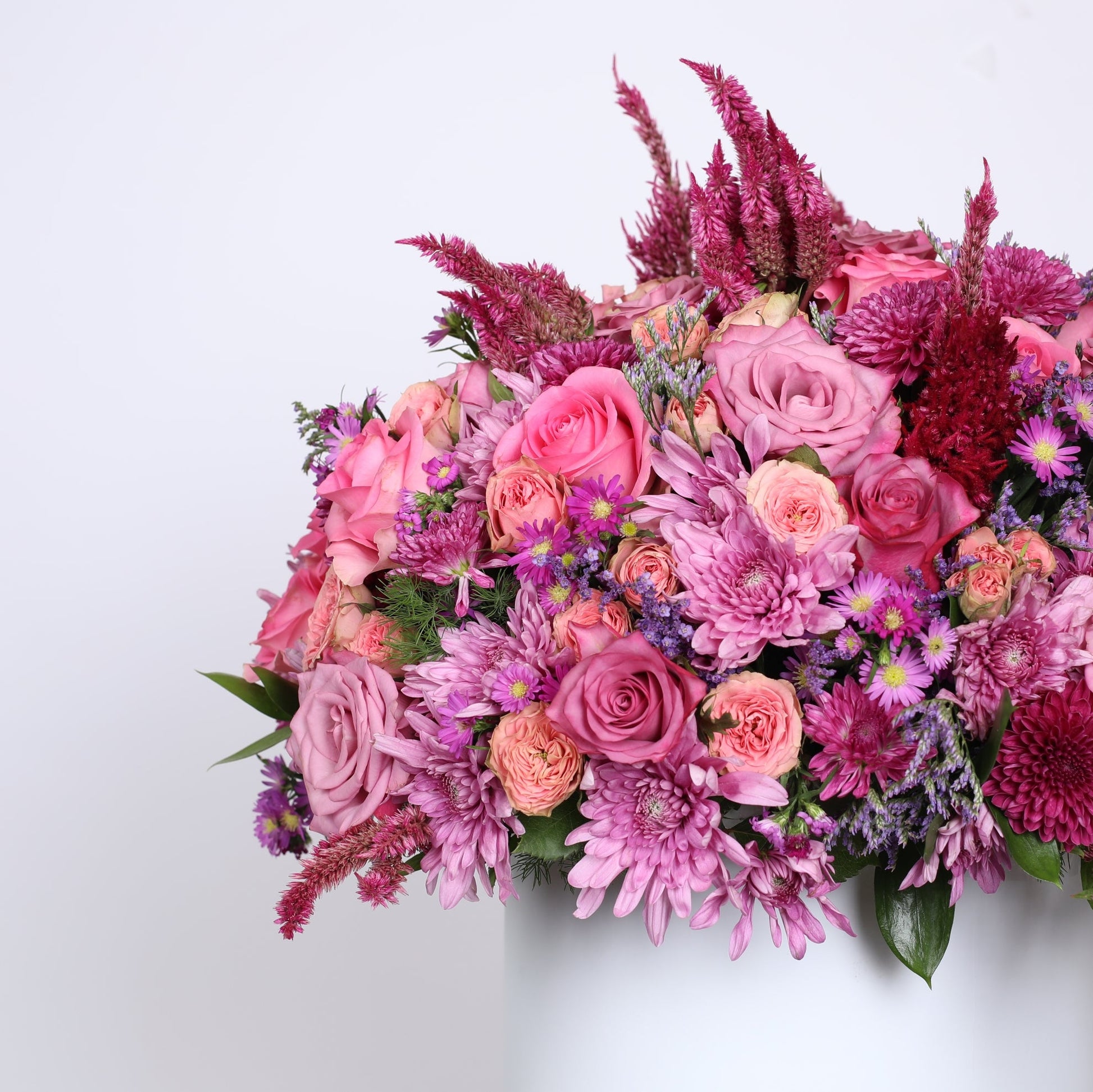 Pink Roses Captivate the Senses.