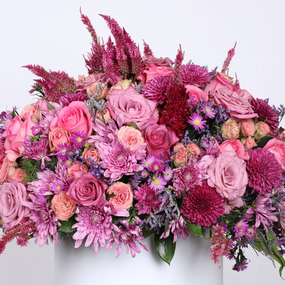 Pink Roses Captivate the Senses.