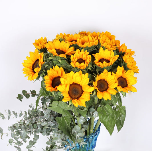 Sunflower Symphony: A Tale of Beauty in the Vase.