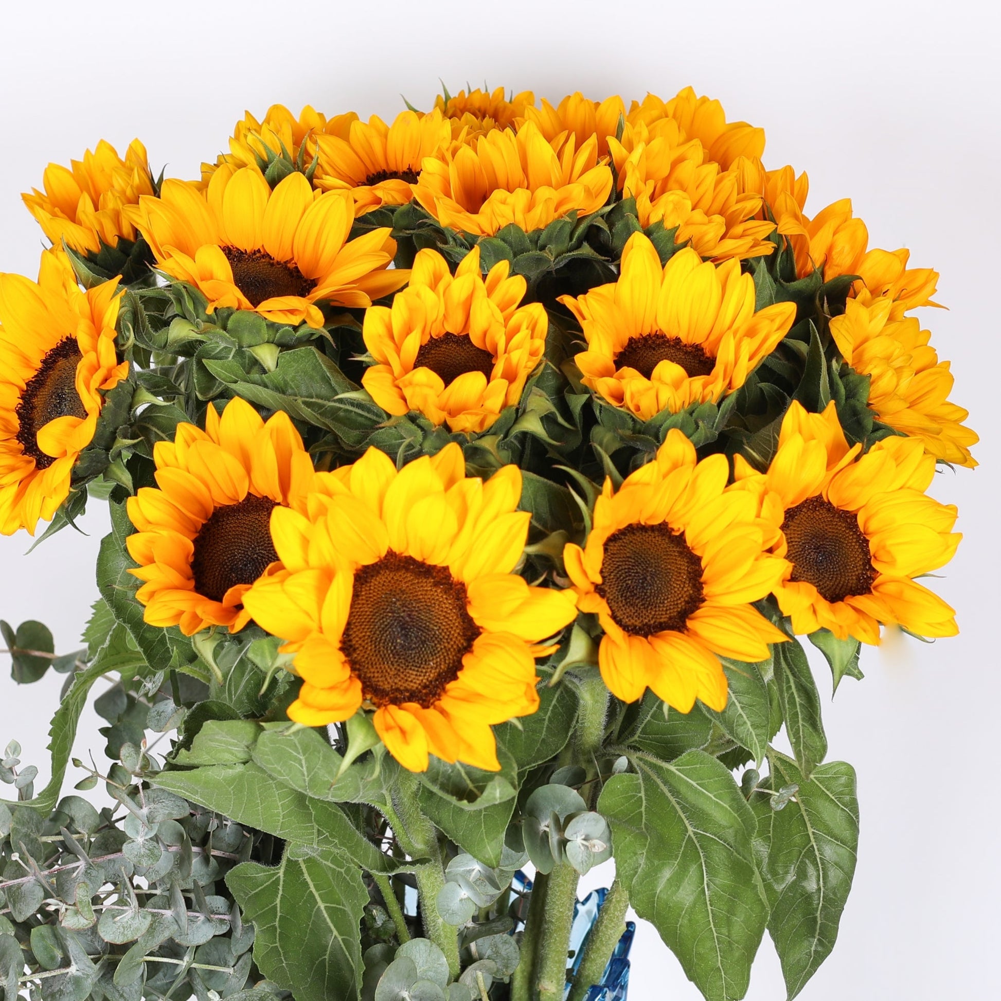 Sunflower Symphony: A Tale of Beauty in the Vase.