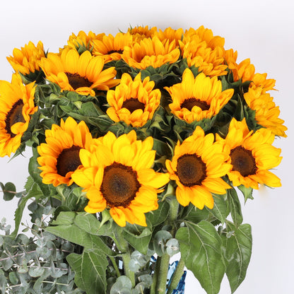 Sunflower Symphony: A Tale of Beauty in the Vase.