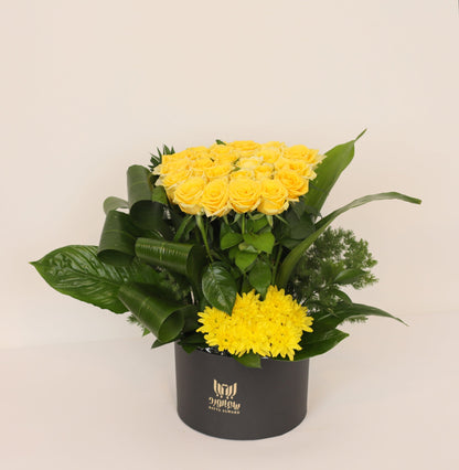 The Radiant Tale of Darkness.