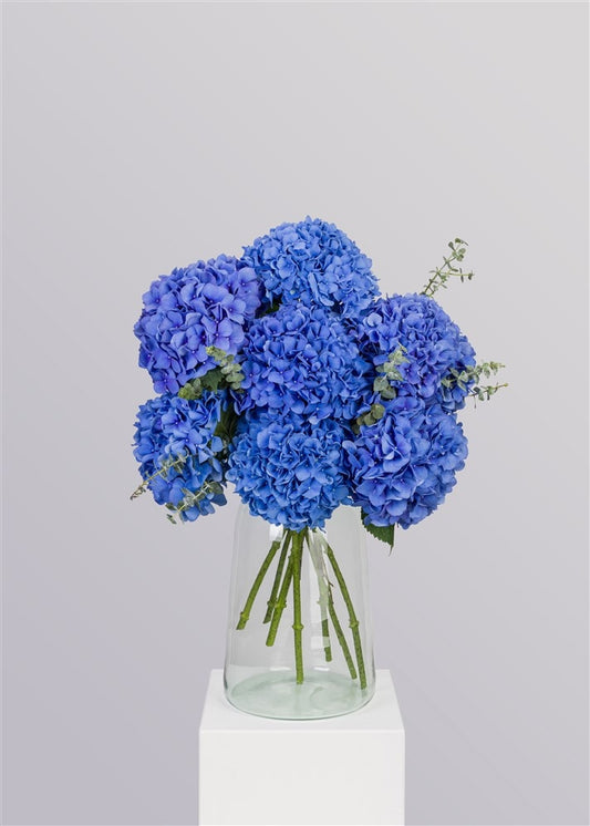 BLUE HYDRANGEA BLISS.