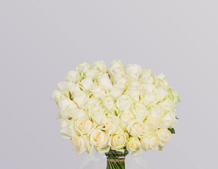 Pure Radiance.