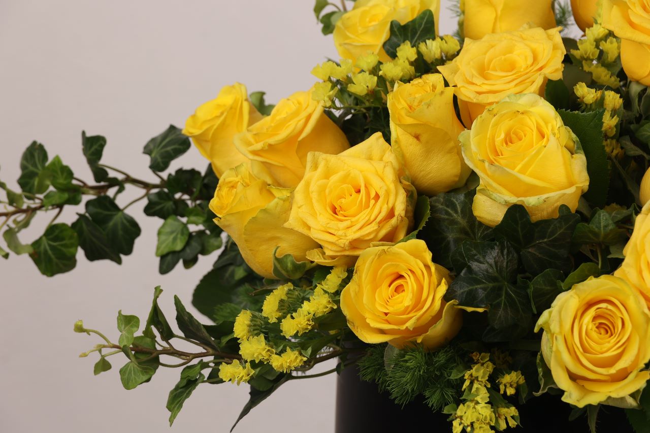 The Bright Yellow Rose BOX.