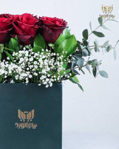 The Pink Symphony of Love – A Harmonious Expression of Romance.